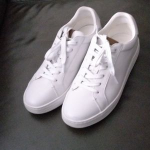 Coach lowline low top sneaker